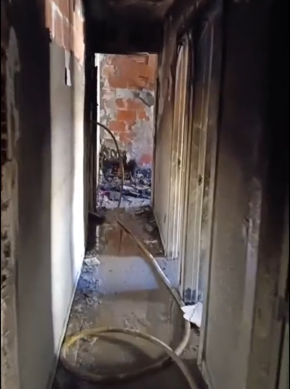 Un incendio en Elche deja dos personas rescatadas y tres perros asistidos con el fallecimiento de uno Un incendio en Elche deja dos personas rescatadas y tres perros asistidos con el fallecimiento de uno