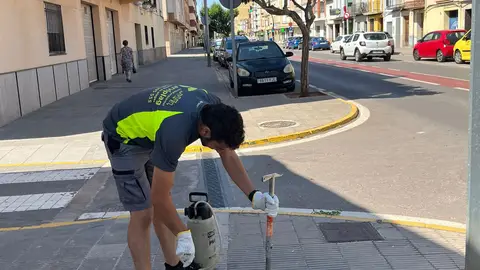 Nules refuerza la desinsectación y desratización para prevenir plagas ante la ola de calor Nules refuerza la desinsectación y desratización para prevenir plagas ante la ola de calor