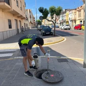 Nules refuerza la desinsectación y desratización para prevenir plagas ante la ola de calor Nules refuerza la desinsectación y desratización para prevenir plagas ante la ola de calor