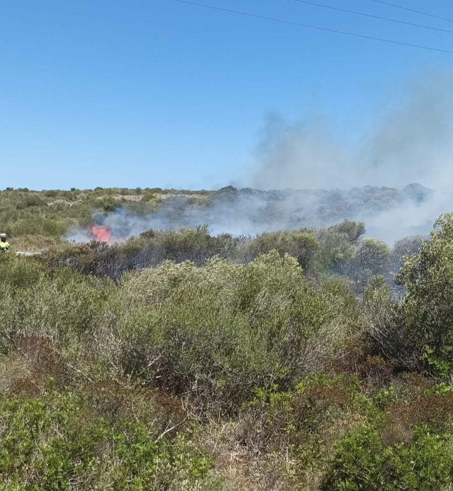 Un incendio forestal en Biniancolla moviliza un amplio dispositivo Un incendio forestal en Biniancolla moviliza un amplio dispositivo