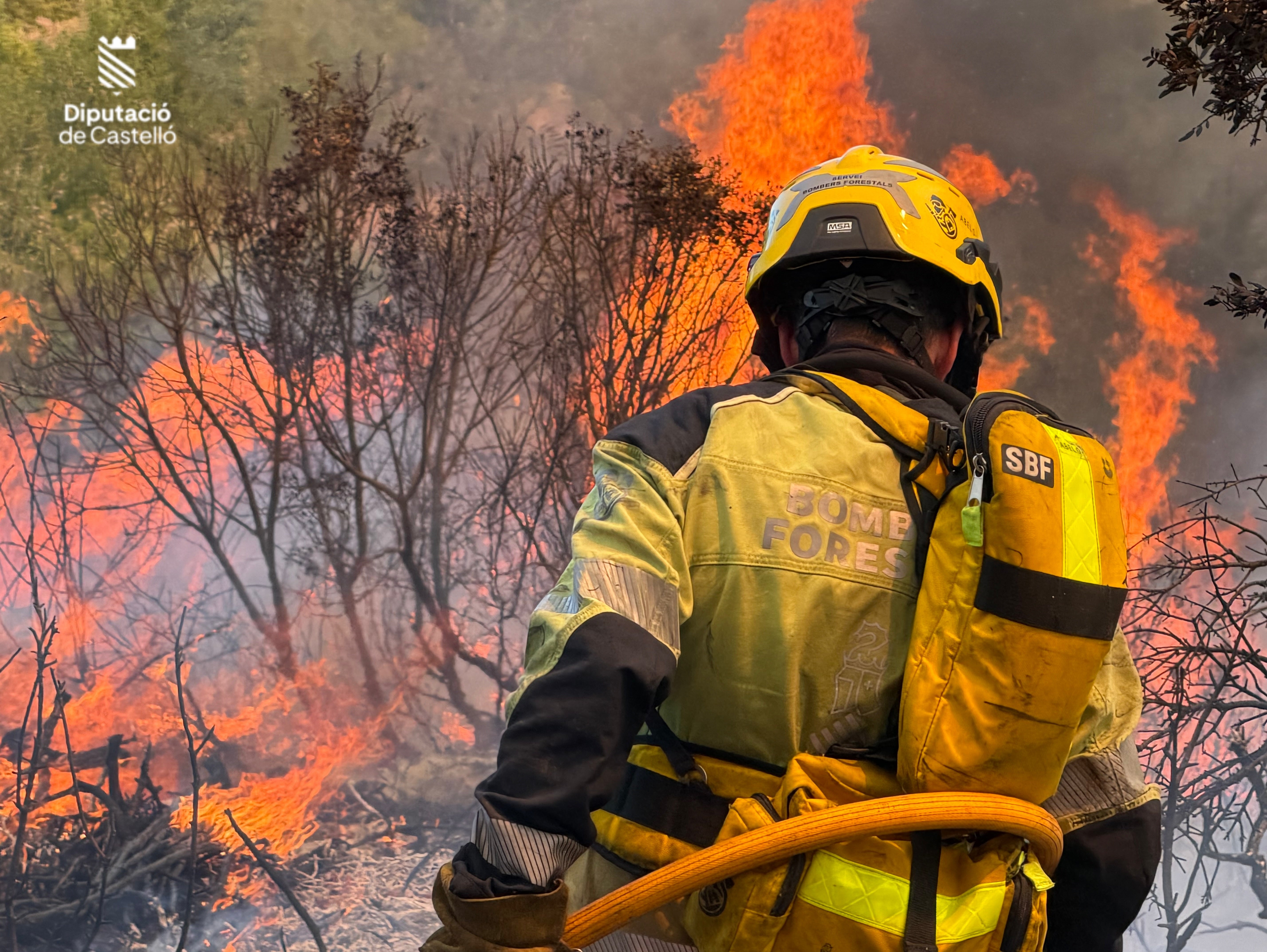 El incendio de Soneja sigue activo con 300 efectivos y riesgo de empeoramiento por calor y viento El incendio de Soneja sigue activo con 300 efectivos y riesgo de empeoramiento por calor y viento