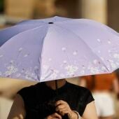 La Aemet mantiene este domingo el aviso por ola de calor con máximas de hasta 42 grados en el suroeste peninsular / JUNTA DE ANDALUCIA / EUROPAPRESS