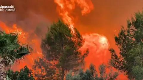 Imagen del incendio forestal de Soneja Imagen del incendio forestal de Soneja