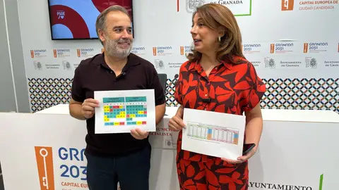 El PSOE denuncia que la ZBE de Carazo empeora más de un 10% la calidad del aire El PSOE denuncia que la ZBE de Carazo empeora más de un 10% la calidad del aire