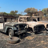 Incendi a les Gavarres Incendi a les Gavarres