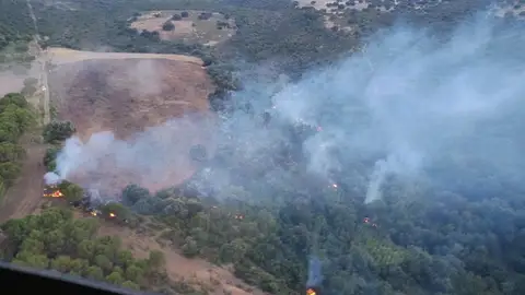 El INFOEX daba por controlado este domingo un incendio forestal en Tornavacas y envía refuerzos a un IF en Ciudad Real El INFOEX daba por controlado este domingo un incendio forestal en Tornavacas y envía refuerzos a un IF en Ciudad Real