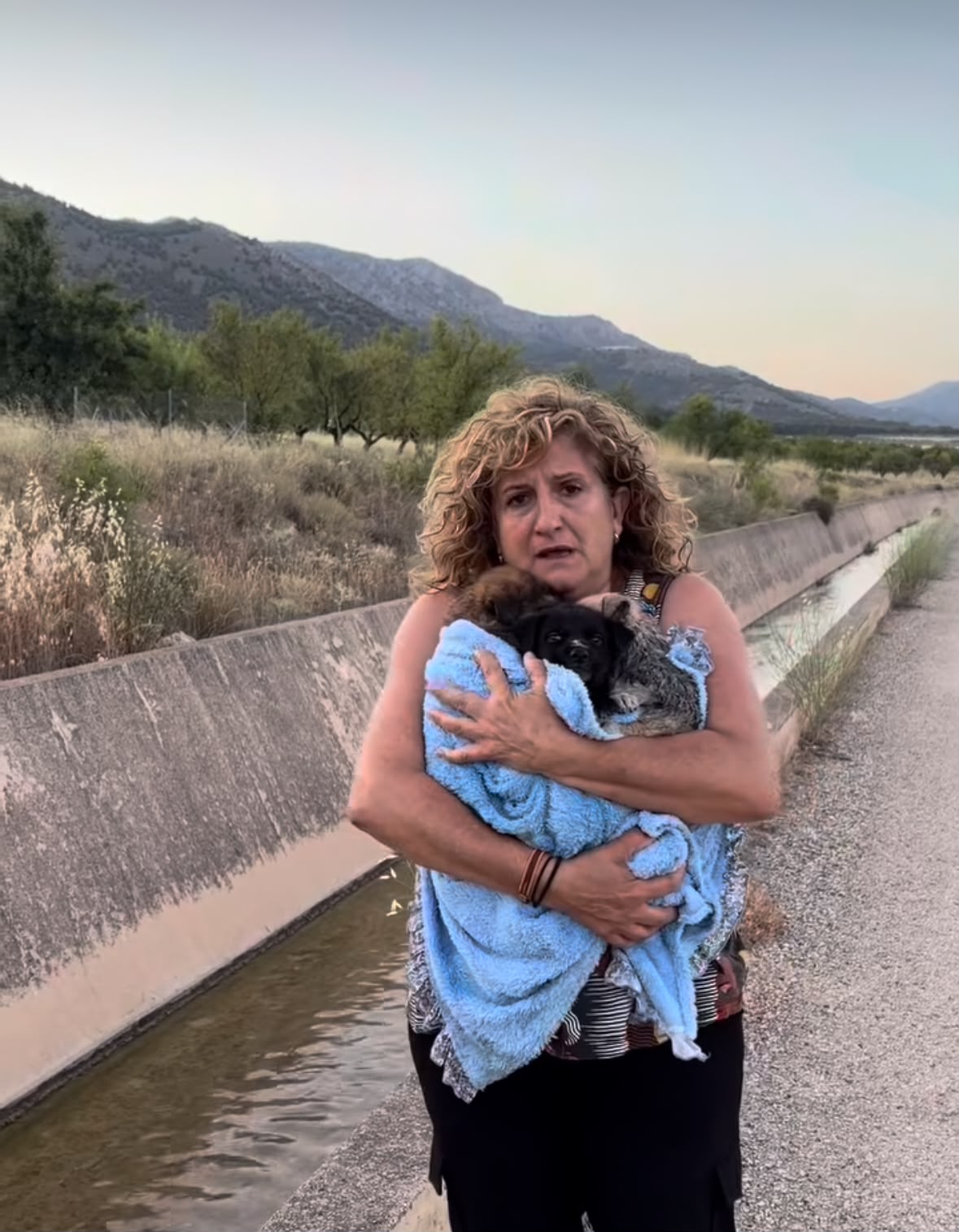 Abandonan una camada de cachorros en el canal de San Clemente de Huéscar: uno murió ahogado Abandonan una camada de cachorros en el canal de San Clemente de Huéscar: uno murió ahogado