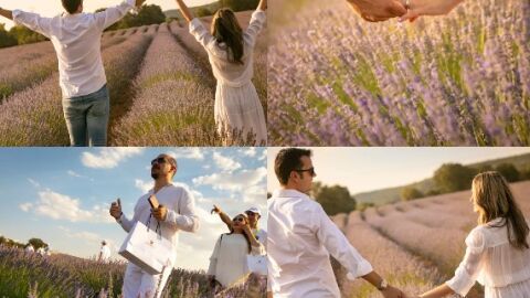 Festival de la Lavanda de Brihuega