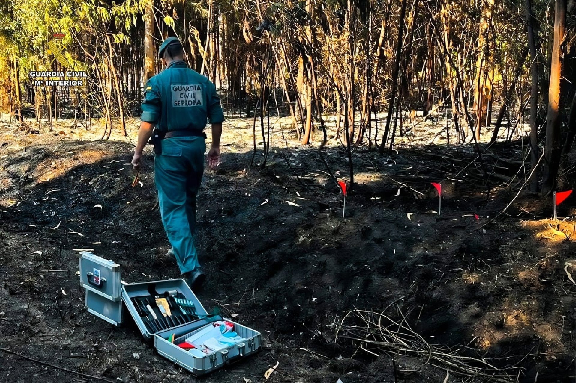 Detenido un vecino de Ordes acusado de varios incendios tras ser sorprendido cuando iniciaba un foco Detenido un vecino de Ordes acusado de varios incendios tras ser sorprendido cuando iniciaba un foco