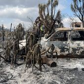 Coche calcinado por las llamas del incendio en Los Gallardos, Almería / Onda Cero Almería