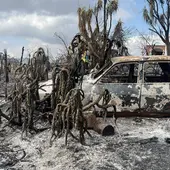 Coche calcinado por las llamas del incendio en Los Gallardos, Almería / Onda Cero Almería Coche calcinado por las llamas del incendio en Los Gallardos, Almería / Onda Cero Almería