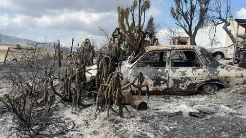 Continúan los trabajos de extinción tras el grave incendio en la localidad almeriense de Los Gallardos Continúan los trabajos de extinción tras el grave incendio en la localidad almeriense de Los Gallardos / Onda Cero Almería