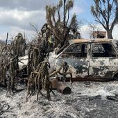Continúan los trabajos de extinción tras el grave incendio en la localidad almeriense de Los Gallardos / Onda Cero Almería