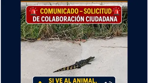 Mensaje difundido por la Policía Local de Sax. Mensaje difundido por la Policía Local de Sax.