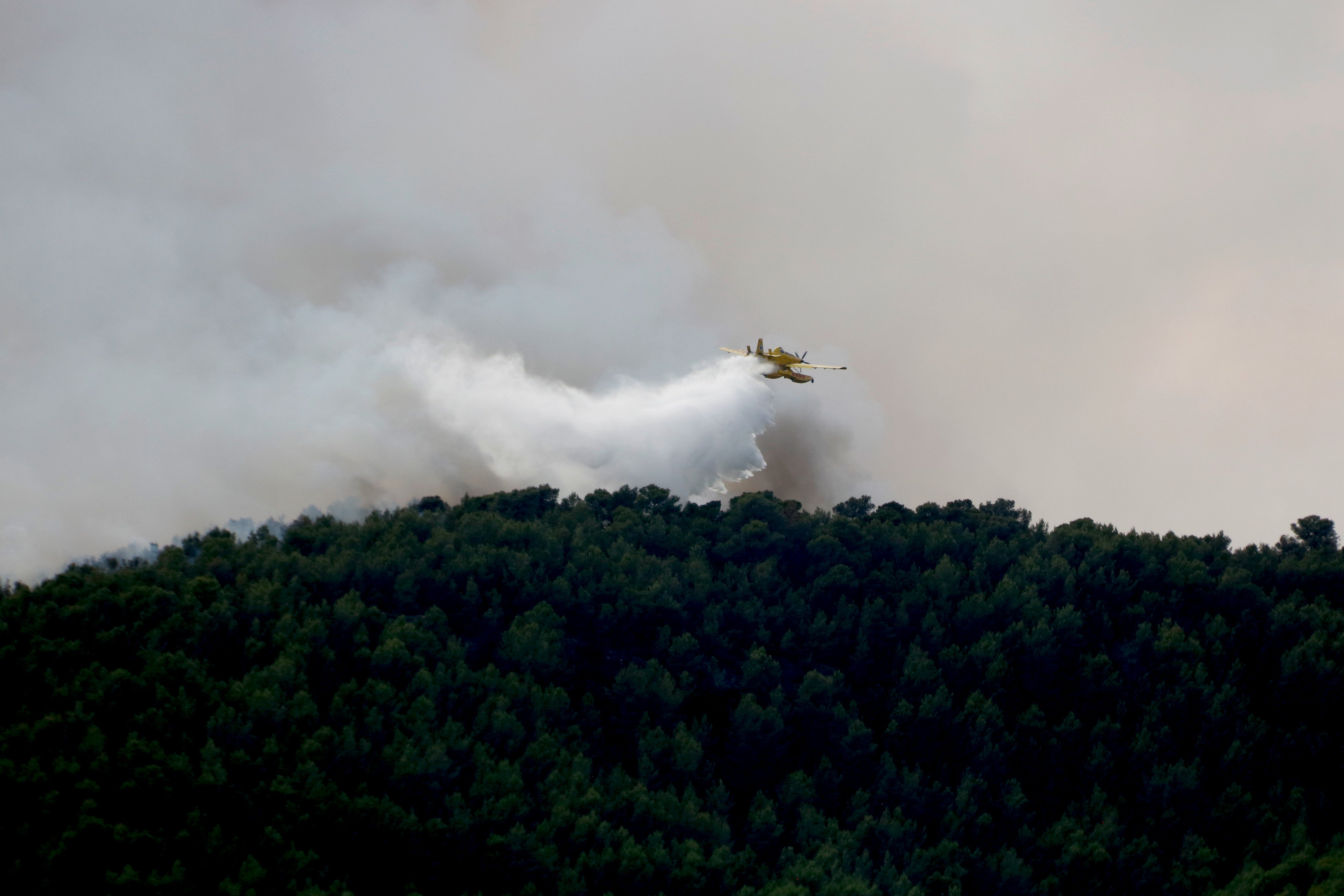 Indicis d'incendi provocat Indicis d'incendi provocat