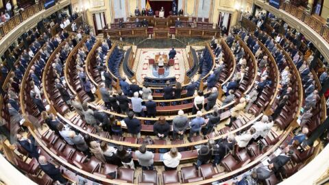 El Congr&eacute;s dels Diputats votar&agrave; dimarts les noves lleis de depend&egrave;ncia i discapacitat