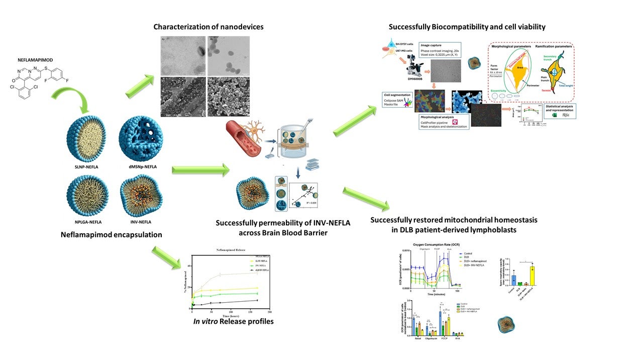 La UCLM participa en un estudio pionero que utiliza la nanotecnología para abordar la demencia con cuerpos de Lewy La UCLM participa en un estudio pionero que utiliza la nanotecnología para abordar la demencia con cuerpos de Lewy