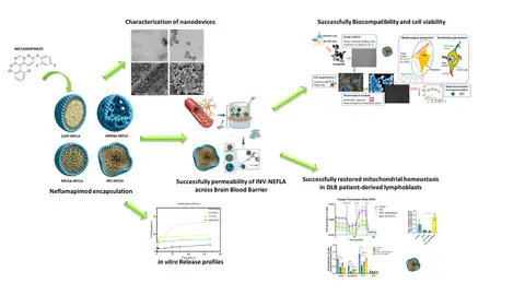 La UCLM participa en un estudio pionero que utiliza la nanotecnología para abordar la demencia con cuerpos de Lewy La UCLM participa en un estudio pionero que utiliza la nanotecnología para abordar la demencia con cuerpos de Lewy