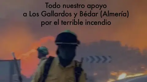 El presidente de la FAMP traslada el pésame a los municipios de Los Gallardos y Bédar por el terrible incendio El presidente de la FAMP traslada el pésame a los municipios de Los Gallardos y Bédar por el terrible incendio