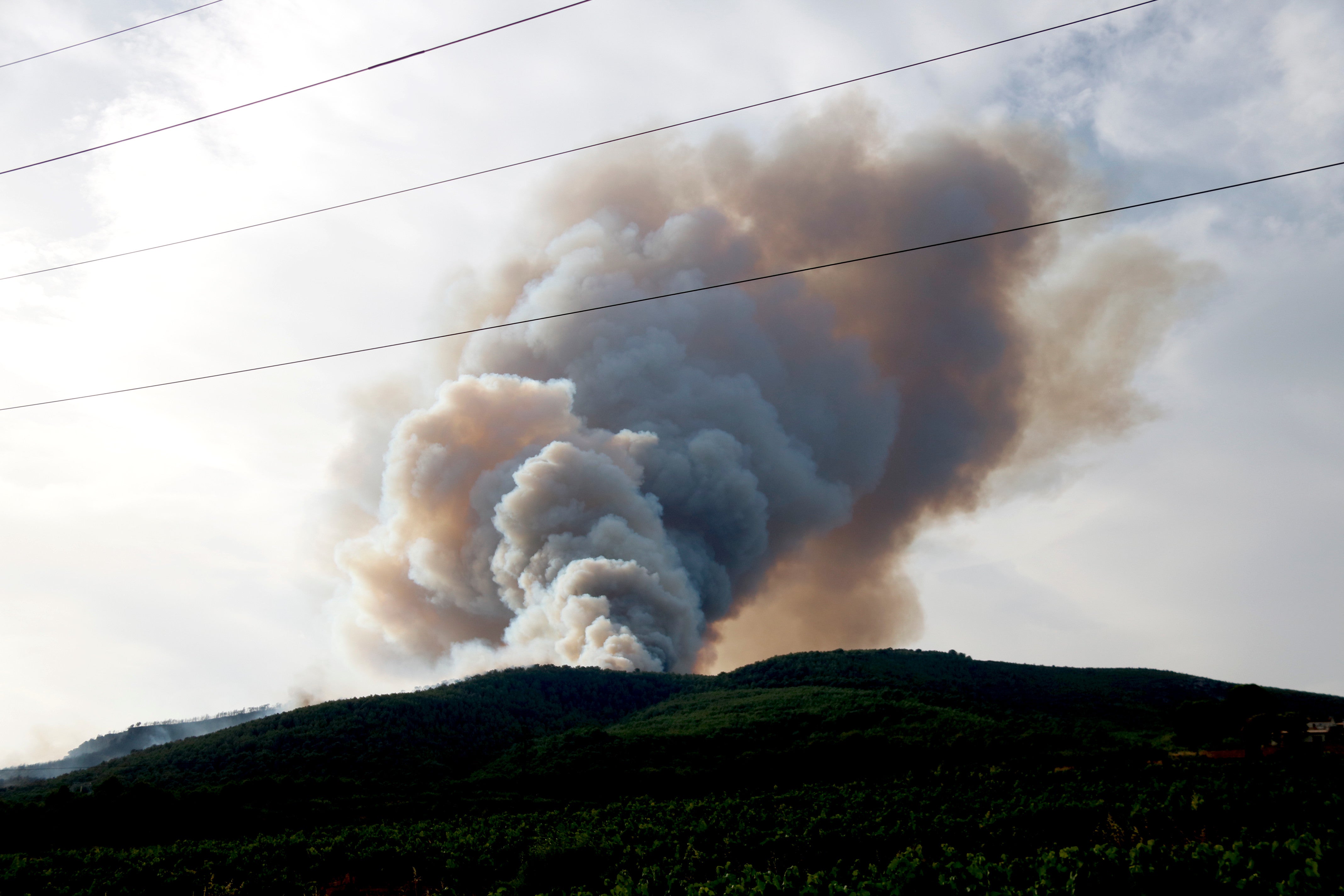 La consellera Parlon assegura que hi ha indicis que l’incendi d’Aiguamúrcia ha estat provocat La consellera Parlon assegura que hi ha indicis que l’incendi d’Aiguamúrcia ha estat provocat