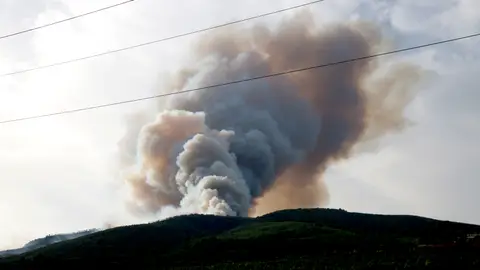 La consellera Parlon assegura que hi ha indicis que l’incendi d’Aiguamúrcia ha estat provocat La consellera Parlon assegura que hi ha indicis que l’incendi d’Aiguamúrcia ha estat provocat