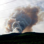 La consellera Parlon assegura que hi ha indicis que l’incendi d’Aiguamúrcia ha estat provocat