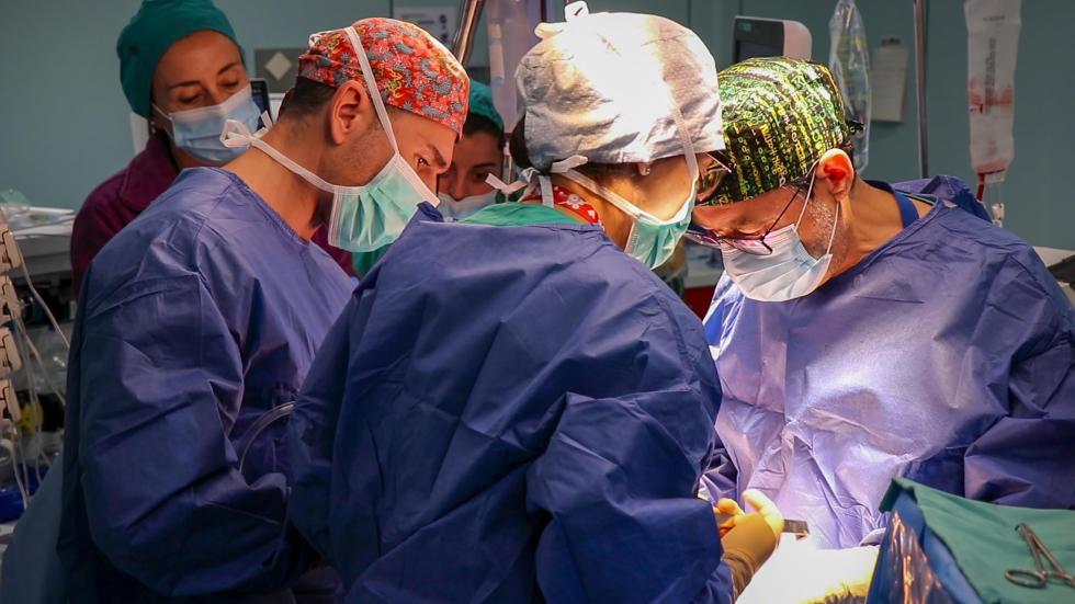 Diez trasplantes renales de donantes vivos registrados en La Fe el primer semestre de 2026 Diez trasplantes renales de donantes vivos registrados en La Fe el primer semestre de 2026