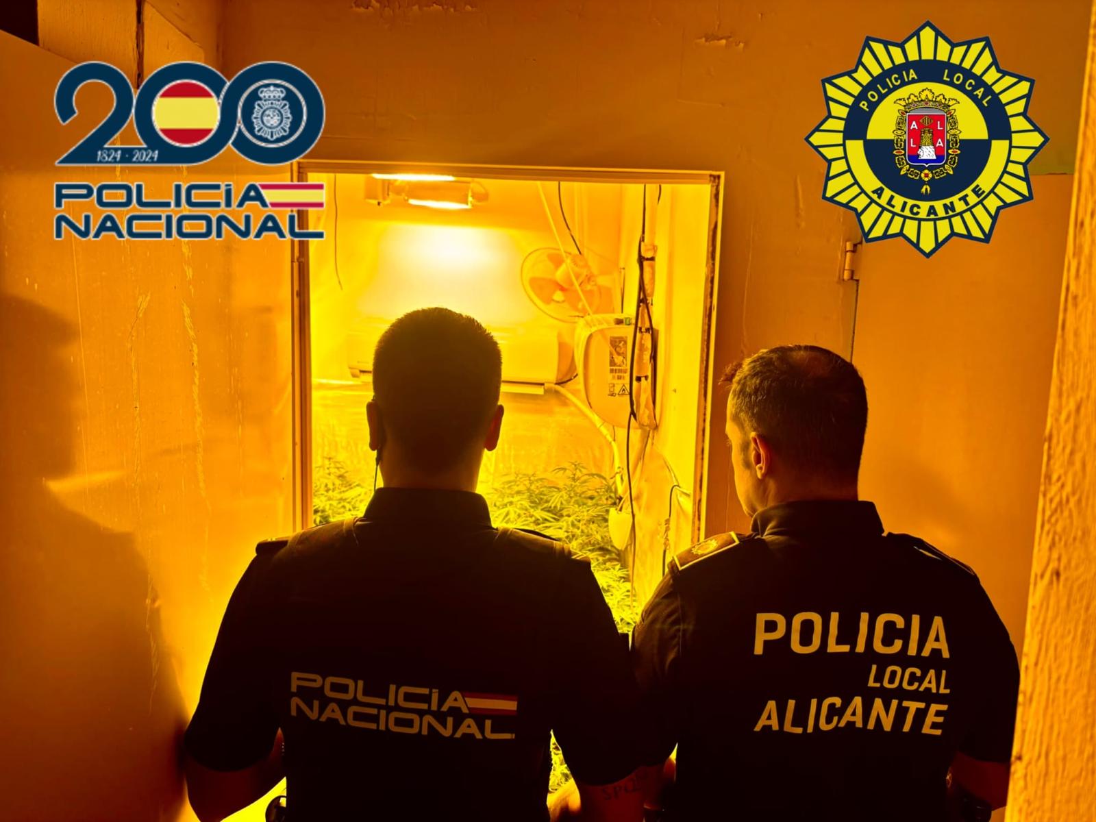 La Guardia Civil detiene a 11 personas por vender cocaína, marihuana y hachís en El Campello La Guardia Civil detiene a 11 personas por vender cocaína, marihuana y hachís en El Campello