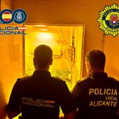 La Guardia Civil detiene a 11 personas por vender cocaína, marihuana y hachís en El Campello