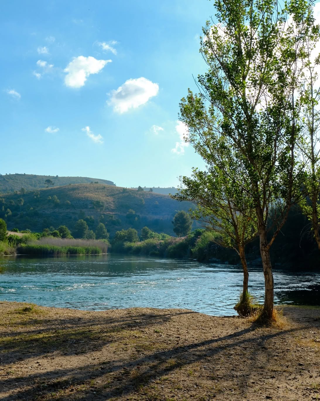 Muere otro hombre en el área recreativa l’Esgoletja en Sumacàrcer episode artwork