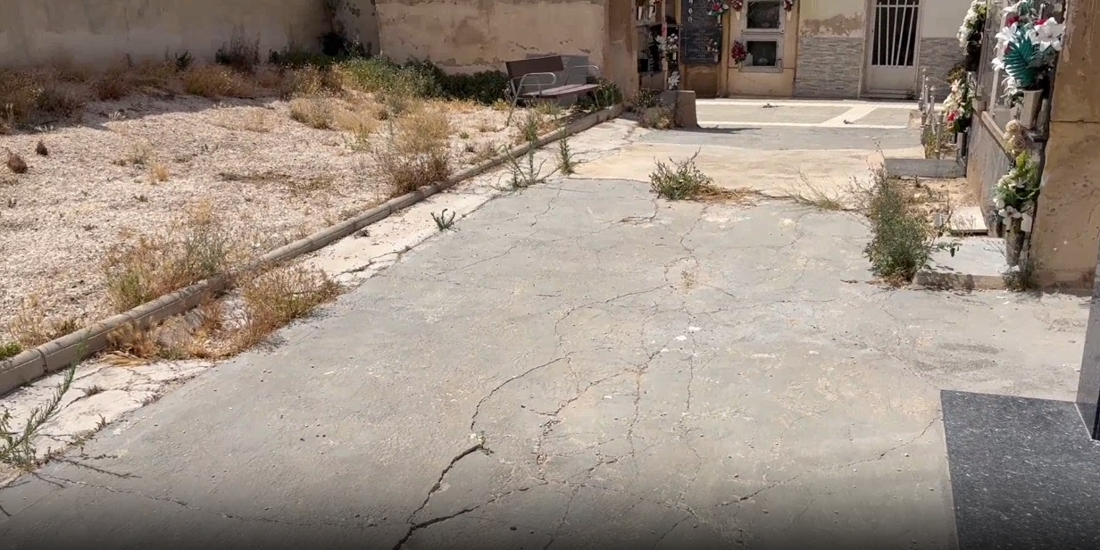 El PSOE de Elche reclama limpieza y atención en el ‘cementerio viejo’ y su entorno ante el estado de abandono El PSOE de Elche reclama limpieza y atención en el ‘cementerio viejo’ y su entorno ante el estado de abandono