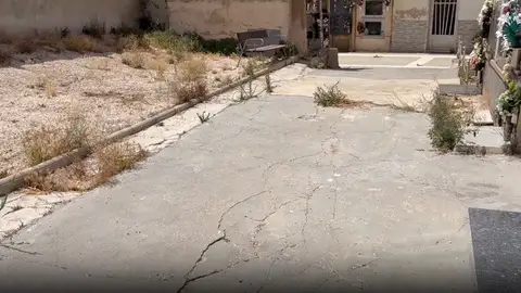 El PSOE de Elche reclama limpieza y atención en el ‘cementerio viejo’ y su entorno ante el estado de abandono El PSOE de Elche reclama limpieza y atención en el ‘cementerio viejo’ y su entorno ante el estado de abandono