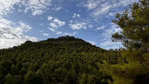 Paraje natural de Petrer. Paraje natural de Petrer.