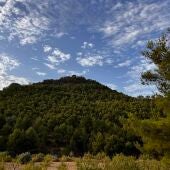 Paraje natural de Petrer.