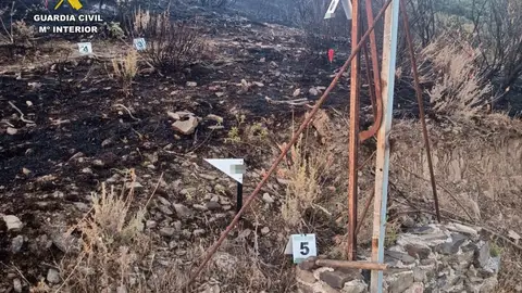 Investigado un vecino de Villarta de los Montes por su implicación en un incendio forestal Investigado un vecino de Villarta de los Montes por su implicación en un incendio forestal
