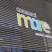 El Consorci Mare gestiona 119.150 toneladas de residuos en el primer semestre del año, un 3,76% más que el año anterior El Consorci Mare gestiona 119.150 toneladas de residuos en el primer semestre del año, un 3,76% más que el año anterior