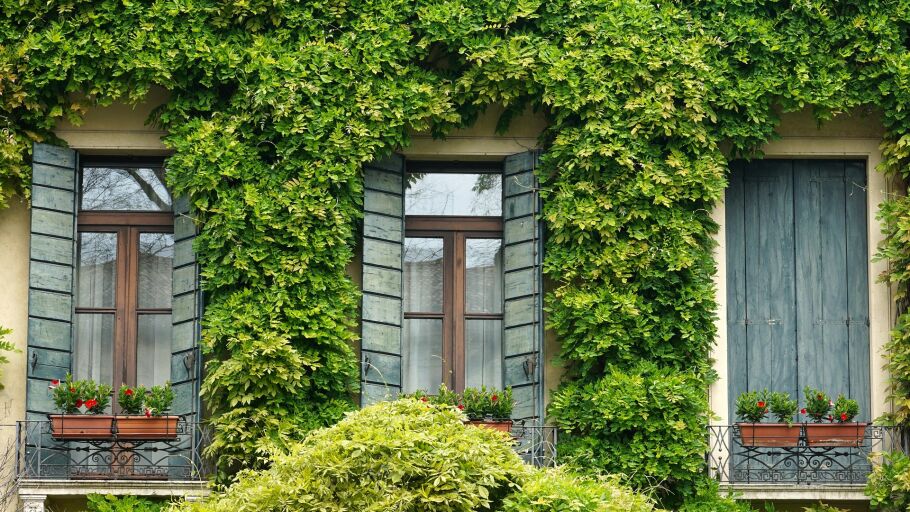 Ventanas de casa
