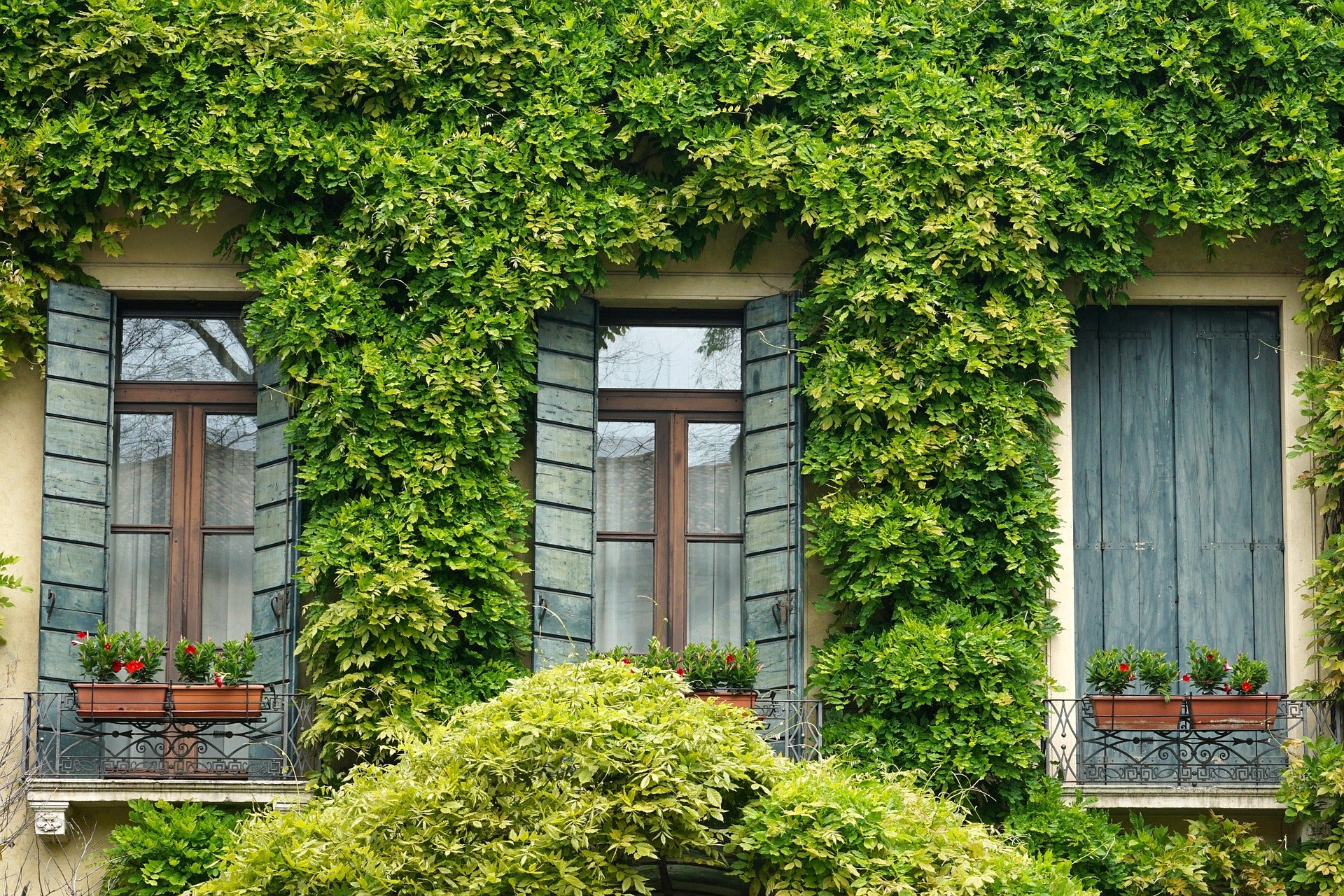 Laura Falcó explica en El Colegio Invisible el curioso método que utilizan en Francia para combatir el calor en las casas: "Se está agotando" Laura Falcó explica en El Colegio Invisible el curioso método que utilizan en Francia para combatir el calor en las casas: "Se está agotando"