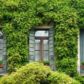 Ventanas de casa Ventanas de casa