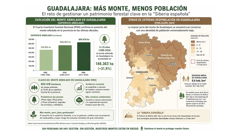 Infografía Montes Despoblación Riesgo de Incendios Guadalajara Infografía Montes Despoblación Riesgo de Incendios Guadalajara