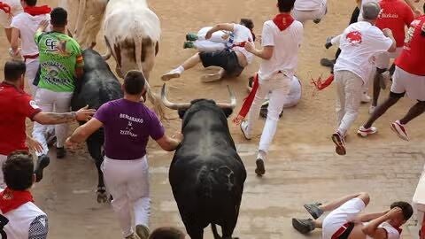 Ganader&iacute;a Jandilla