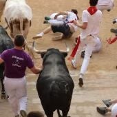Ganadería Jandilla