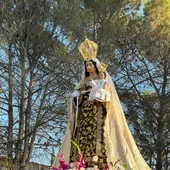 Virgen del Carmen Virgen del Carmen