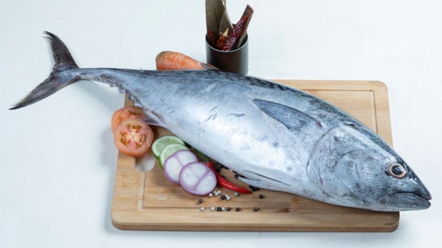 Bonito