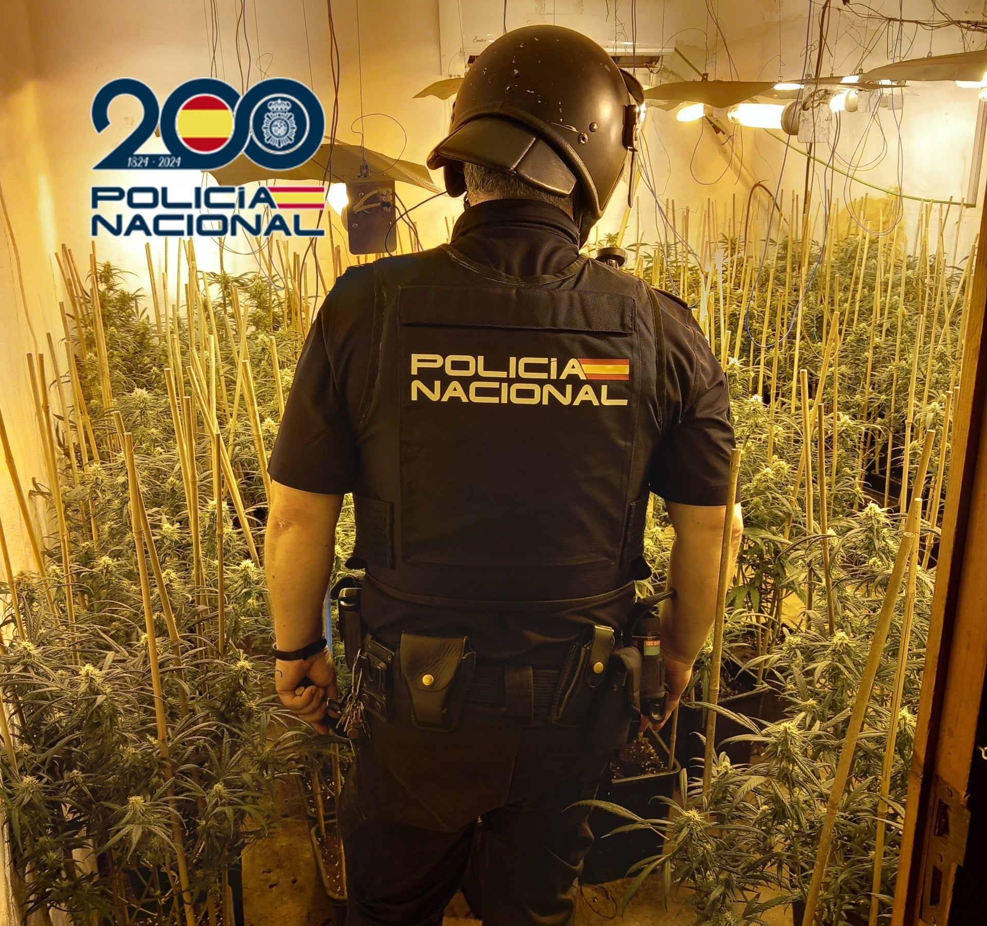 La Policía Nacional detiene en Algemesí a dos presuntos autores de tráfico de drogas La Policía Nacional detiene en Algemesí a dos presuntos autores de tráfico de drogas