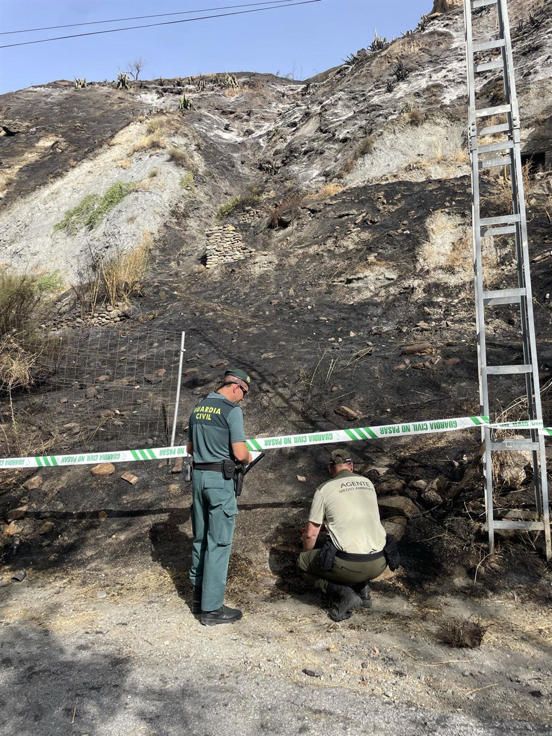 Detenido un hombre de 68 años por provocar un incendio forestal en Cenes de la Vega que obligó a desalojar varias viviendas Detenido un hombre de 68 años por provocar un incendio forestal en Cenes de la Vega que obligó a desalojar varias viviendas