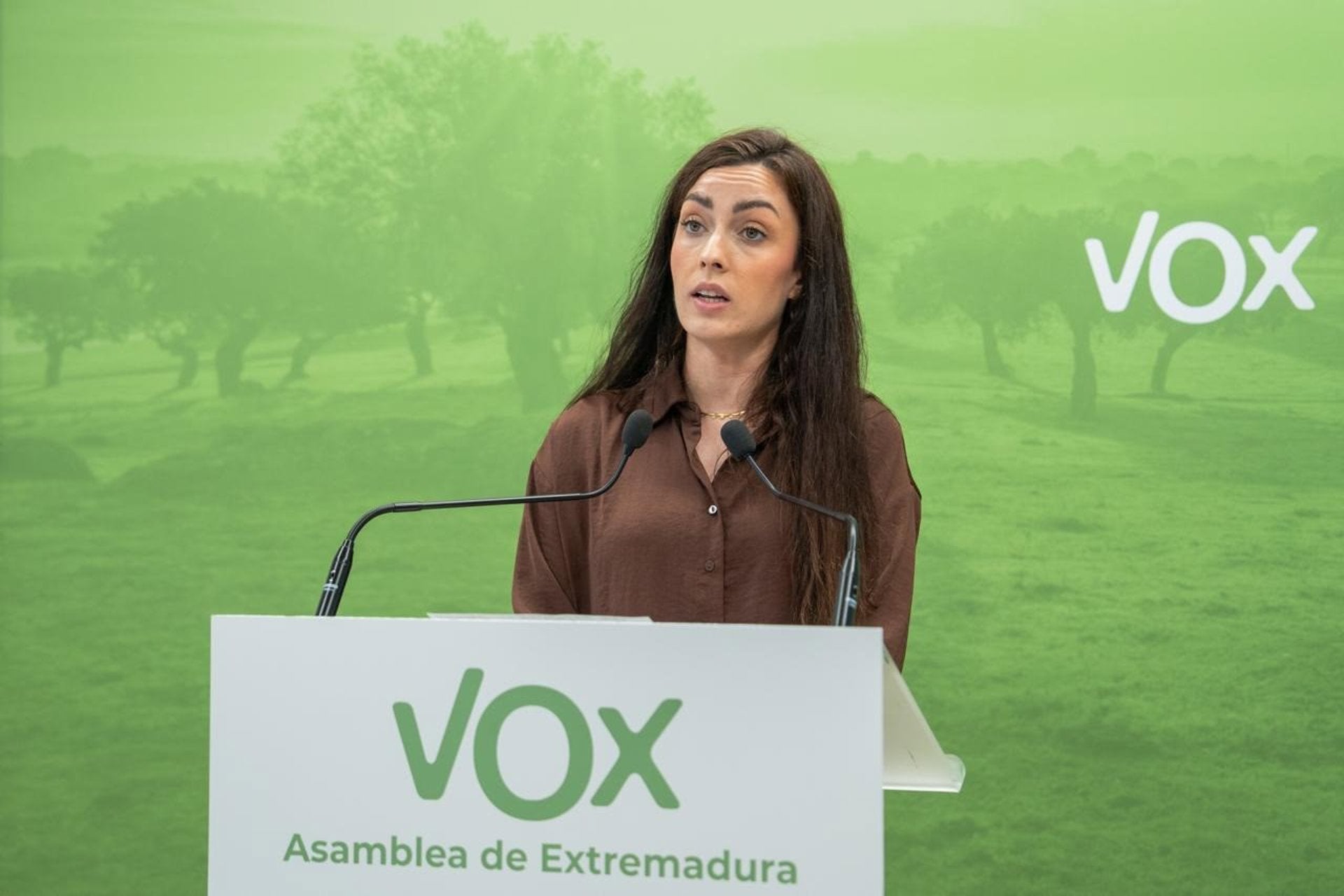 Vox reafirma que Almaraz "no se toca" y que "la pelota está en el tejado" del Gobierno de España tras el informe del CSN Vox reafirma que Almaraz "no se toca" y que "la pelota está en el tejado" del Gobierno de España tras el informe del CSN