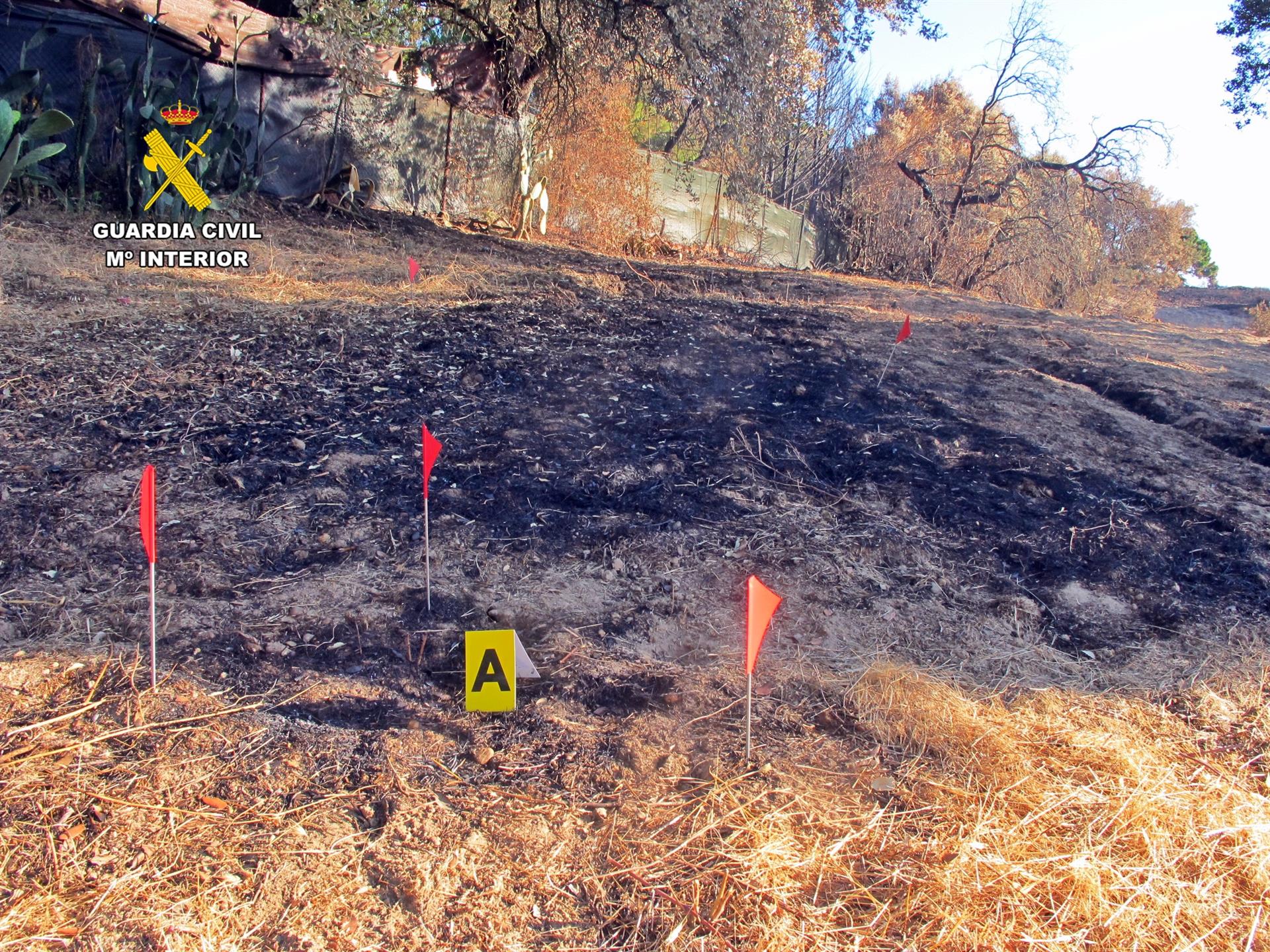 Investigado por su presunta implicación en un delito de incendio forestal y que arrasó 14 hectáreas en Badajoz Investigado por su presunta implicación en un delito de incendio forestal y que arrasó 14 hectáreas en Badajoz
