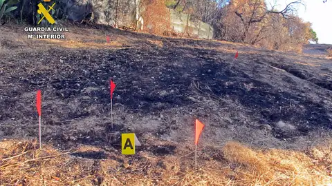 Investigado por su presunta implicación en un delito de incendio forestal y que arrasó 14 hectáreas en Badajoz Investigado por su presunta implicación en un delito de incendio forestal y que arrasó 14 hectáreas en Badajoz