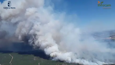 Incendio de La Mierla - INFOCAM Incendio de La Mierla - INFOCAM